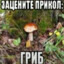 блинк на кухню