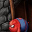 spider-pig