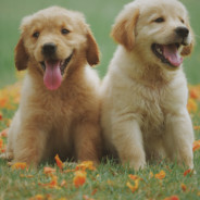 我TM就是夏洛啊