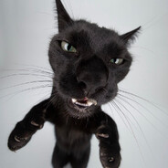 The Goons that were promised