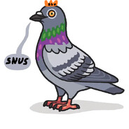 Gobbity Gobby avatar