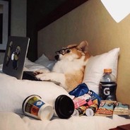 小白兔跟我说要有光