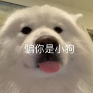 world很大 你忍一下.