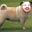 AurochMatt