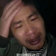 一只莫得感情的比熊