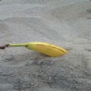 Sand Banana