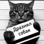 [TALENT] ASStral - steam id 76561198931862793