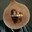 sonion