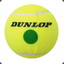 Fuzzy Dunlop