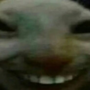 xdd✌