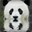 Panda.