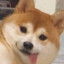 桐生