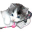 kittyplayer3000