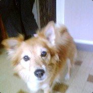 Fdp Du Nord - GocleCD