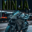 Ninja H2O