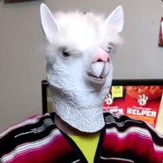 Alpaca God