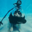 underwater kat