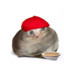 NathanLikesRice