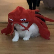 Autistic Lobster