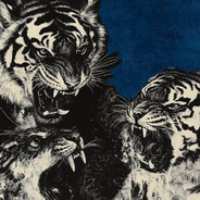 moozei - steam id 76561199549733837