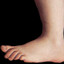 The Foot