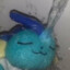 splonk