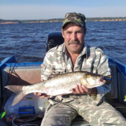 Виталик Серпанти