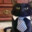 Business Cat