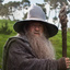 Gandalf the Grey