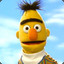 Bert