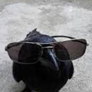 𝐼 𝒶 𝓁𝒶 𝓂𝓊𝑒