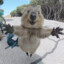 GamingQuokka