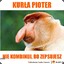 KuRłA pIoTeR