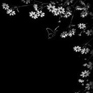 Gho1_Space - steam id 76561199575068496