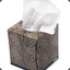 tissue