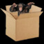 Monke In BOX