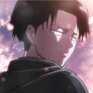 Levi