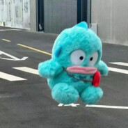 能不能让我舔一下