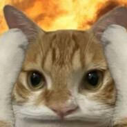 ✿ MEOWWW ✿