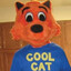 coolcatfunhouse