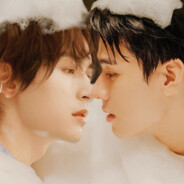 蒲猫猫爱喝奶茶