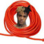 XXExtension Cord