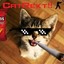 MR.CatRekt