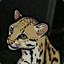 i am an ocelot