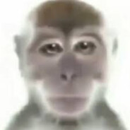 davydzem