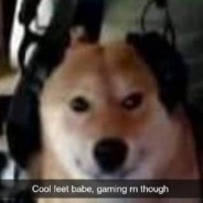 Bernie's Free College Adventure