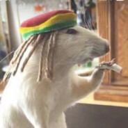 RASTA MOUSE