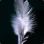 Feather