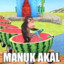 manuk akal