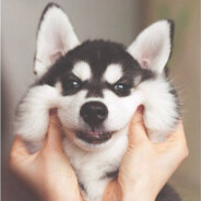 对方正在讲脏话·····